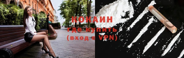 твердый Арсеньев
